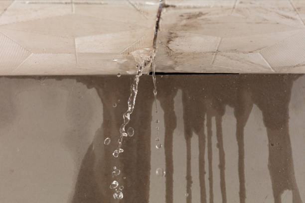 Professional Burst Pipe Cleanup technician working in Plano, IL